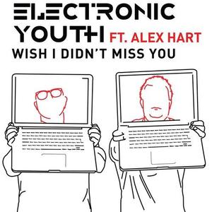 Electronic Youth&Alex Hartung《Wish I Didnt Miss You(The Shapeshifters Remix)》[MP3_LRC]