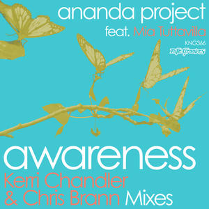 Ananda Project&MIA Tuttavilla《Awareness(Kerri's Dark Dub)》[MP3_LRC]