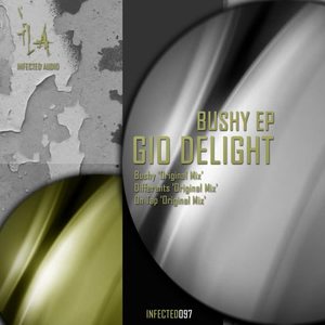 Gio Delight《Bushy(Original Mix)》[MP3_LRC]