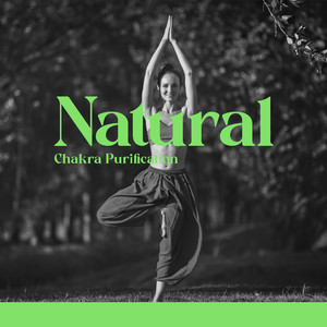 Calm Music Masters Relaxation - Harmony of Senses