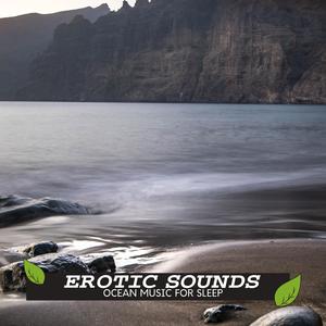 The Ocean Invention Studio - The Morning Farm Birdstar