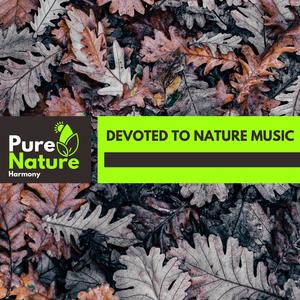 Waves and Winds Nature Studio - Noise of Winter