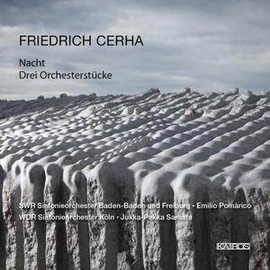 WDR Sinfonieorchester Köln&Jukka-Pekka Saraste《Berceuse Céleste (2006)》[MP3_LRC]