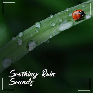 White Noise Babies&Sleep Sounds of Nature&Sleep Rain - Time for Sleep