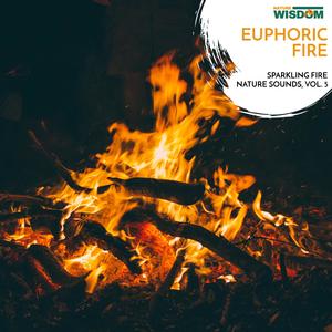 Wooden White Noise Fire Sounds - Western Forest