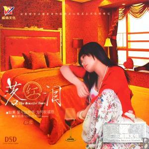孙露 - 月满西楼