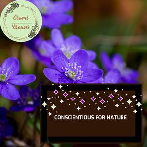 Bushfire Nature Sound Library - Crow Speaks of Nature