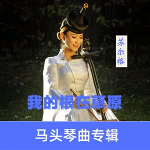 苏尔格 - 微腾花