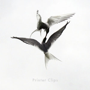 Printer Clips&Paul Noonan&Cathy Davey《The Dolphins and the World's Tallest Man》[MP3_LRC]