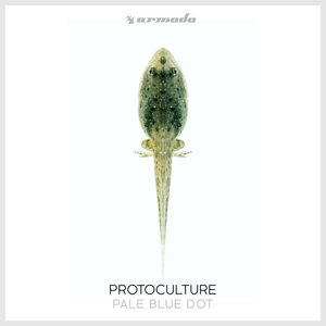 Protoculture《Pale Blue Dot》[MP3_LRC]