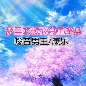 MC嗓音男王&康乐《梦里梦外都是你》[MP3_LRC]