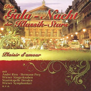 Maastricht Salon Orchester&André Rieu《Het Kleine Café aan de Haven(Live Recording)》[MP3_LRC]