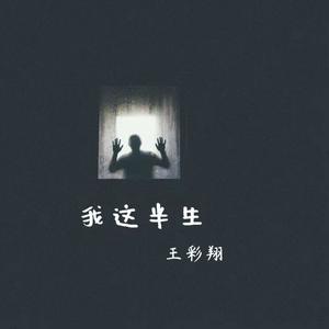 王彩翔 - 我这半生