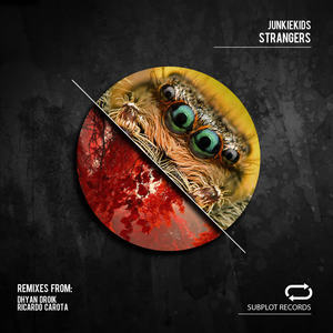JunkieKids&Ricardo Carota - Strangers