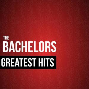 The Bachelors《No Arms Can Ever Hold You》[MP3_LRC]