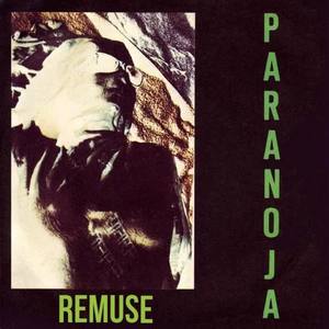 Paranoja《Remuse》[MP3_LRC]