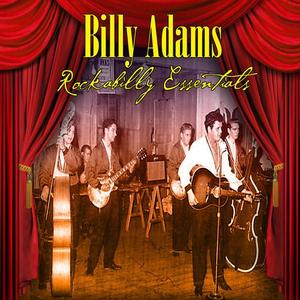 Billy Adams《True Love Will Come Your Way》[MP3_LRC]