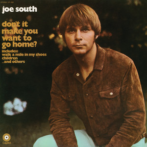 Joe South《Before It's Too Late》[MP3_LRC]