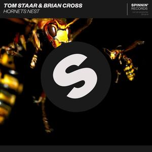 Tom Staar&Brian Cross《Hornets Nest》[MP3_LRC]