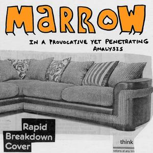 Marrow《Best Retail Trader Of Thee Ear》[MP3_LRC]