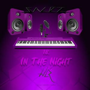 Salez - 18.In The Night