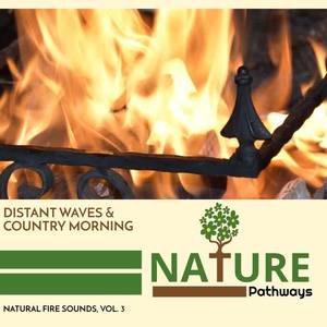 Boulder Blaze Fire Sound Project - Winter Rain and Chirping Birds