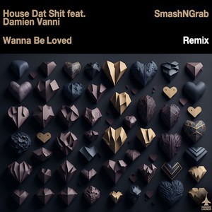 House Dat Shit&Damien Vanni《Wanna Be Loved(SmashNGrab Radio Woo Remix)》[MP3_LRC]