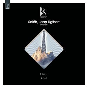 Saleh&Jaap Ligthart《Fall》[MP3_LRC]