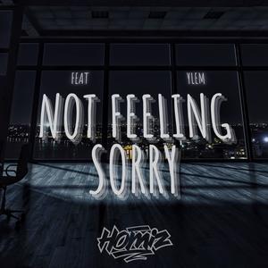 Homiz&YLEM《Not Feeling Sorry (feat. Ylem)(Explicit)》[MP3_LRC]