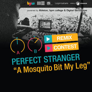 Perfect Stranger&K'angs Toil《A Mosquito Bit My Leg(K'angs Toil Remix)》[MP3_LRC]