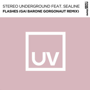 Stereo Underground&SeaLine&Gai Barone《Flashes(Gai Barone Gorgonaut Extended Remix)》[MP3_LRC]