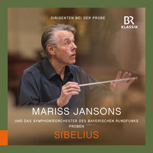 Mariss Jansons&Bavarian Radio Symphony Orchestra《Symphony No. 2 in D Major, Op. 43 (Rehearsal Excerpts) : I. Allegretto [Die Naturbilder müssen durchsichtige Musik sein]》[MP3_LRC]