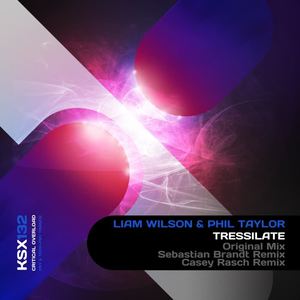 Liam Wilson&Phil Taylor《Tressilate(Sebastian Brandt Remix)》[MP3_LRC]