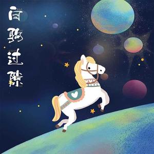 黑白柳钉 - 白驹过隙