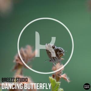 Breezz Studio《Dancing Butterfly(Remix 2017)》[MP3_LRC]