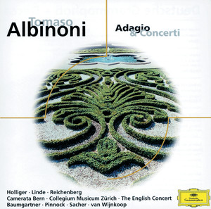 Heinz Holliger&Hans Elhorst&Camerata Bern&Alexander van Wijnkoop《1. Allegro》[MP3_LRC]