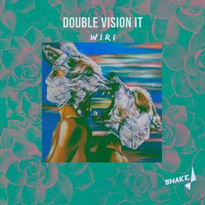 Double Vision IT - Wiri