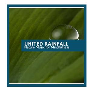 Wet Weather Nature Studio - Mythical Birds Culture