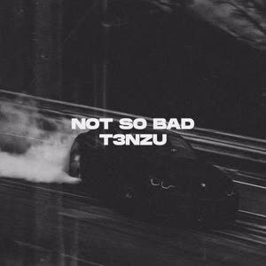 T3nzu《Not So Bad》[MP3_LRC]