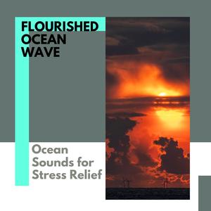 Gauzy Ocean Waves Project - Fair Distant Muffed Music