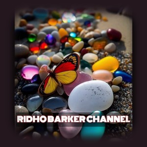 Ridho barker channel - I Need You