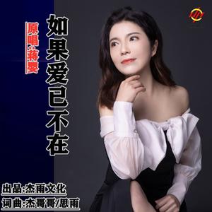 蒋婴《如果爱已不在(dj晓朋)(伴奏)》[MP3_LRC]