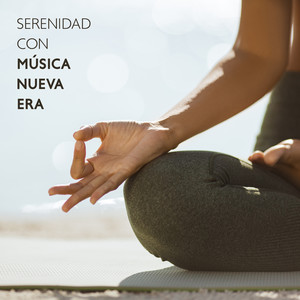 Relajación Meditar Academie - Meditación para Principiantes