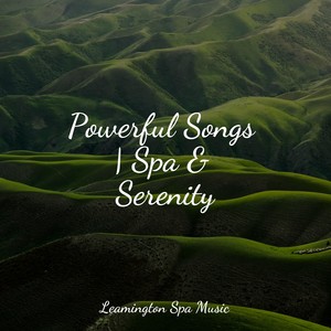 Nature Sounds Collection&Relaxation&Spa Zen - Sleep Music