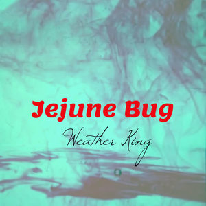 Weather King《Jejune Bug》[MP3_LRC]