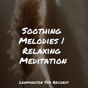 Thunder and Rain Storm&Regen zum Schlafen&Sleep Makers Samples - Ambient Music for Stress Relief