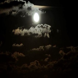 会游泳的鱼 - 入眠