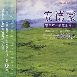 Andemund Orchestra - The Autumn