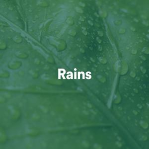 Recording Nature - New York City Downpour