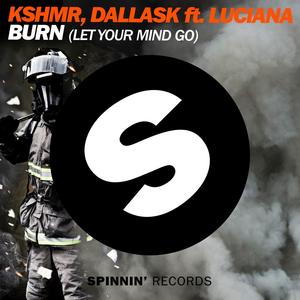 KSHMR&DallasK&Luciana《Burn(Let Your Mind Go)[feat. Luciana](Radio Edit)》[MP3_LRC]